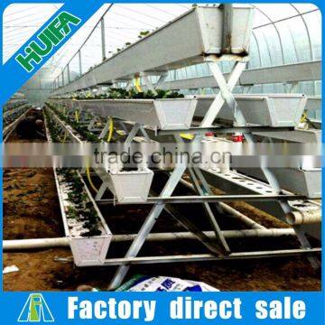 High-yield Greenhouse Hidroponica for Strawberry photo-5