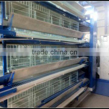 Farm equipment automatic broiler chicken breeding cage