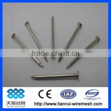 Common Nail/polished Nail/galvanized Nail photo-5