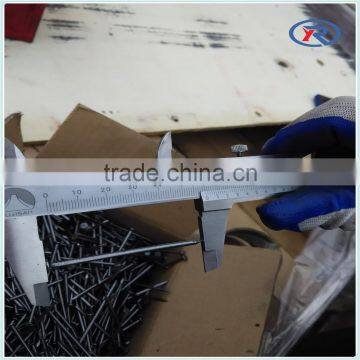 Low Price Common Round Iron Wire Nails Factory/Common Nails Made in China photo-2