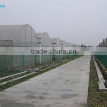 Agricultural Greenhouses photo-4