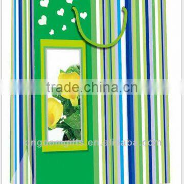 Hot Selling Shopping Copper Plate Paper Bags
