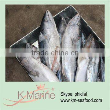 2015 Tuna Factory Supply Small Size Tuna Fish Halal photo-2