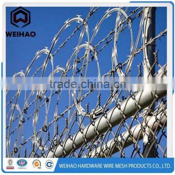 Reliable Supplier Rozar Barbed Wire photo-6