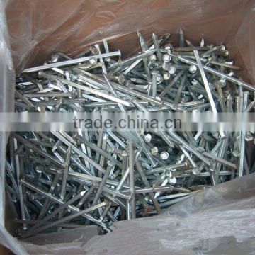 Galvanized Nails/Square Shank Boat Nails