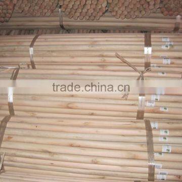 120cm Polished Natural Wood Handles for Broom photo-2
