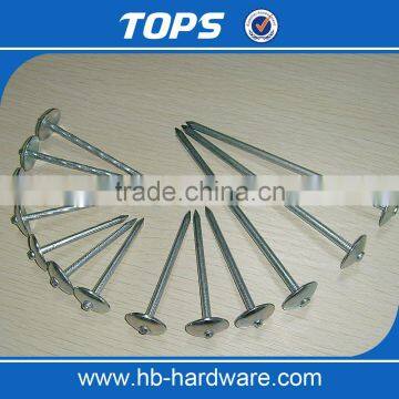 Roofing Umbrella Nail photo-3