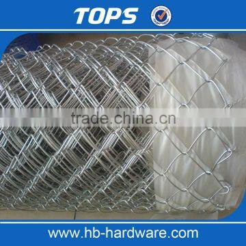 China Hot Sale Decorative Hot Dipped Galvanized Chain Link Fence photo-4