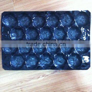 FDA Certificate PP Plastic Black Punnet Tray for Tomato photo-4