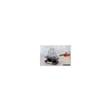 Ships-in-Bottles 2 litre medicine bottles