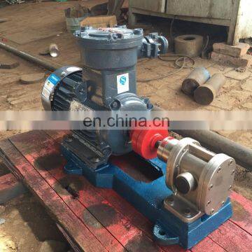 Boiler Ignition Diesel Oil Gear Pump photo-6