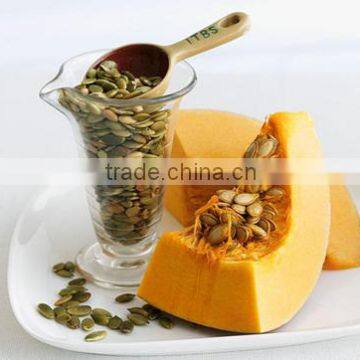 white pumpkin seeds suppliers