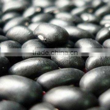 Organic kidney bean