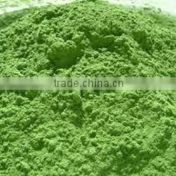 High quality Barely grass powder for Bulk export