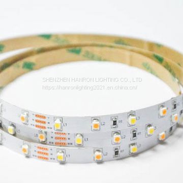 SMD 2835 120LEDM Led Strip light