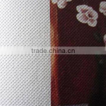 260gsm 100% Coated Cotton Canvas for Digital Printing photo-2