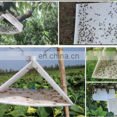 Customized Pest Control Clothes Food Pantry Moth Glue Board Pheromones Attractant Moth Trap