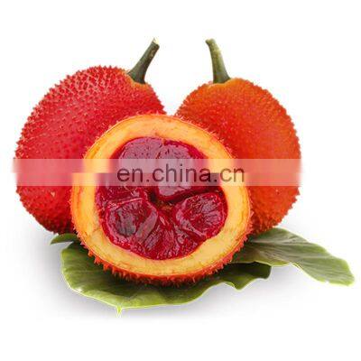 Supplier Health Care  Gac Fruit/ Momordica Cochinchinensis Powder For Exporting Viet Nam