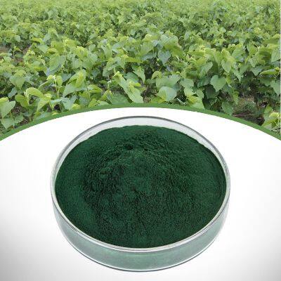 Sodium Copper Chlorophyllin