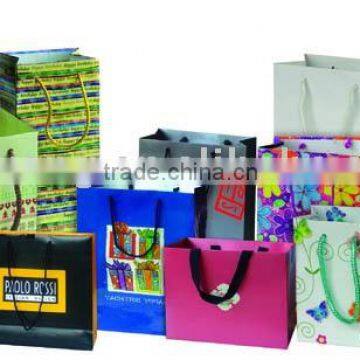 Shopping Paper Bag