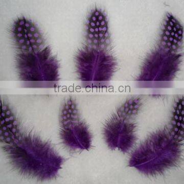 Wholesale Exotic Feathers For Craft Gift Decoration