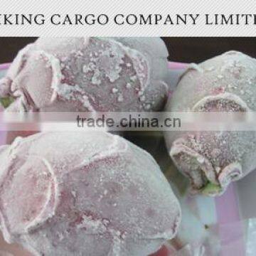 VIET NAM _ FROZEN DRAGON FRUIT _ GOOD PRICE