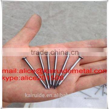 High Quality Low Price Common Nail Factory Produce Common Iron Nail photo-2