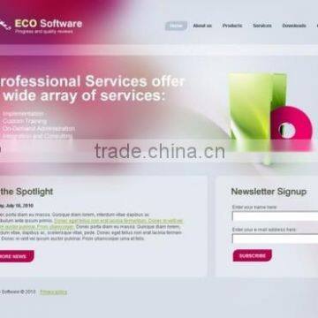 Customized Software Development