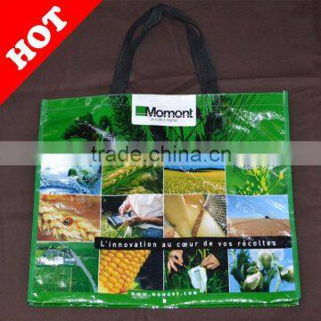 PP non woven promotional bag