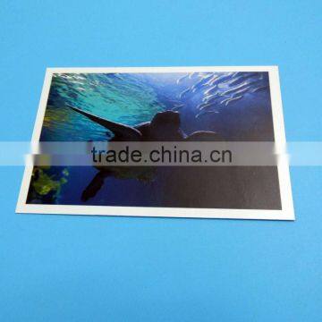 Professional custom high quality postcard book printing