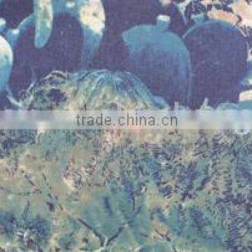 CVC camouflage fabric