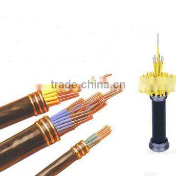 Plastic Insulated Control Cable 450/750KV