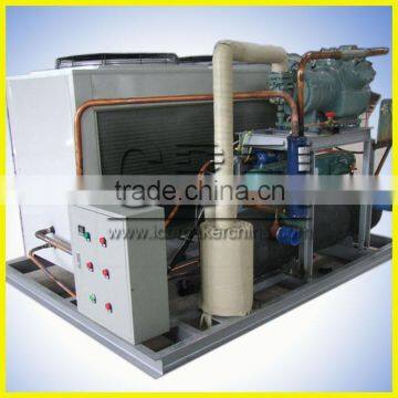 Top quality large automatic block ice machine for Africa