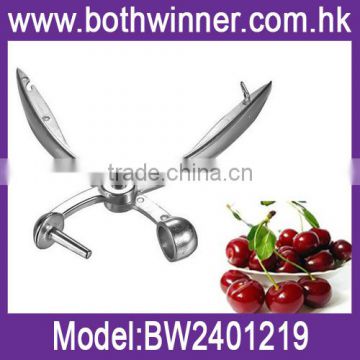 Fruit cherry pitter tool