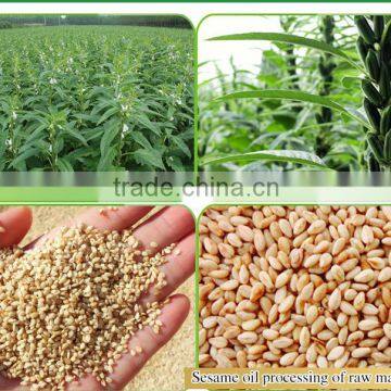 100% Pure Brand Purple Perilla Seed Oil photo-6
