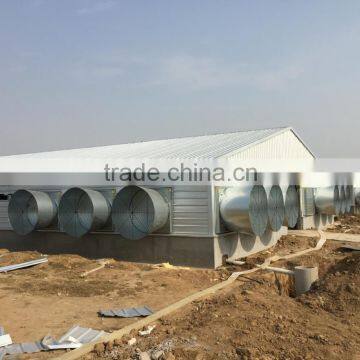 professional prefab poultry house