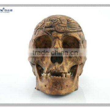 polyresin relief sculpture human head skeleton for halloween party decor