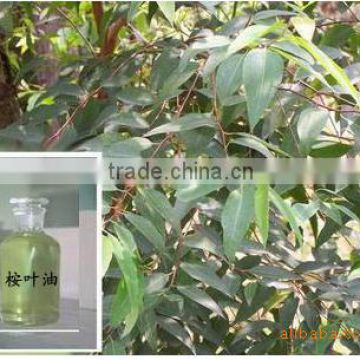 Natural Eucalyptus Oil with 99% natural Eucalyptol (cineole)