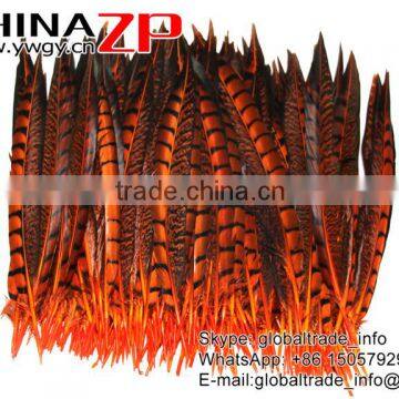 CHINAZP Factory Exporting Wholesale High Quality Dyed Orange Lady Amherst Pheasant Tail Feathers for DIY Decorations photo-5