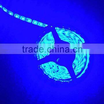 12V LED Strip Light SMD 5050 STRIP LED LIGHT photo-3