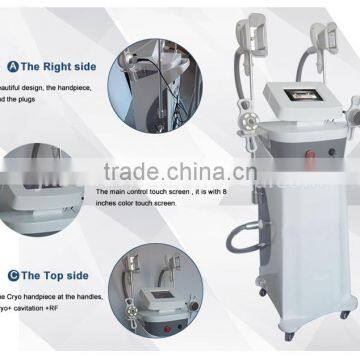 Double Cryolipo Vacuum Low Price Weight Loss Machine photo-4
