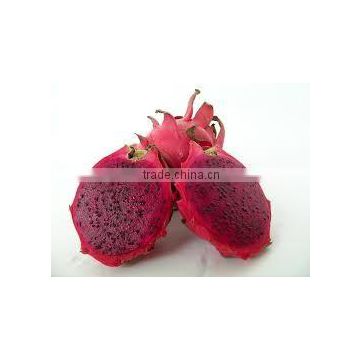 High Quality Fresh Dragon Fruit from Vietnam