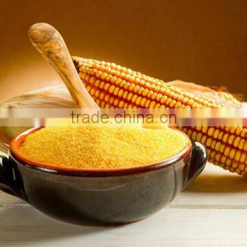 Conr Grits From Ukraine