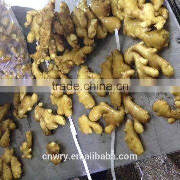 China Low Price Fresh Ginger photo-4