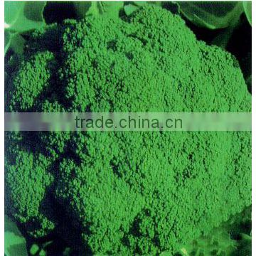 F1 Hybrid Excellent Chinese Broccoli Seeds For Planting-SproutingYour Broccoli Seeds