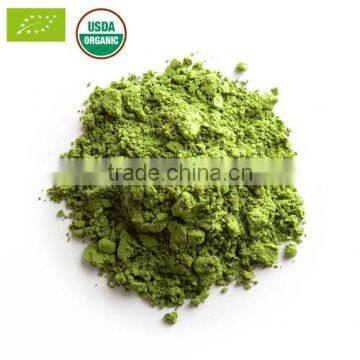 USDA matcha Private Label Wholesale Price