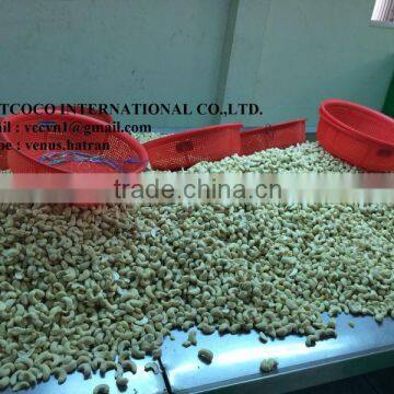 Vietnam Dried Cashew Nuts W240 photo-3