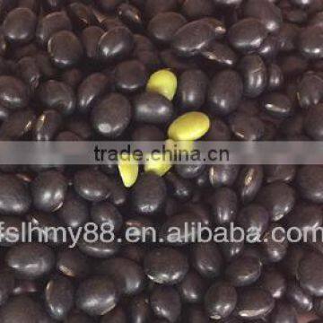 Big Black bean/black soya bean/black soybean with green kernel