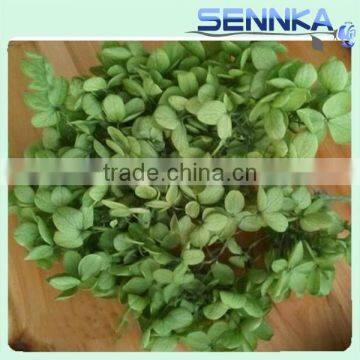 Cheap Wholesale Fresh Preserved Flower Natural Hydrangea As festival Gift