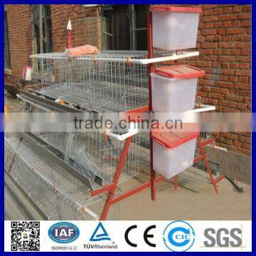 Folding chicken cage